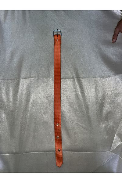 YILMAZ Blue Dog Collar