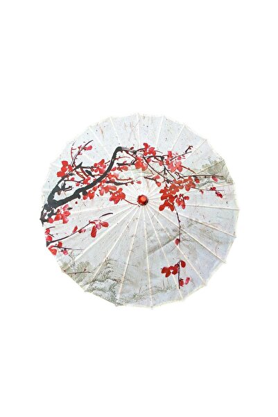 Choice style D Chinese Oiled Paper Umbrella Japanese Women Decorative Umbrell...
