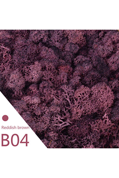 Choice17 20g B04 20/40g Artificial Green Plants Eternal Life Moss DIY Crafts ...