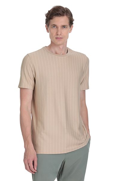 Hatemoğlu Beige Regular Fit Striped Crew Neck T-Shirt