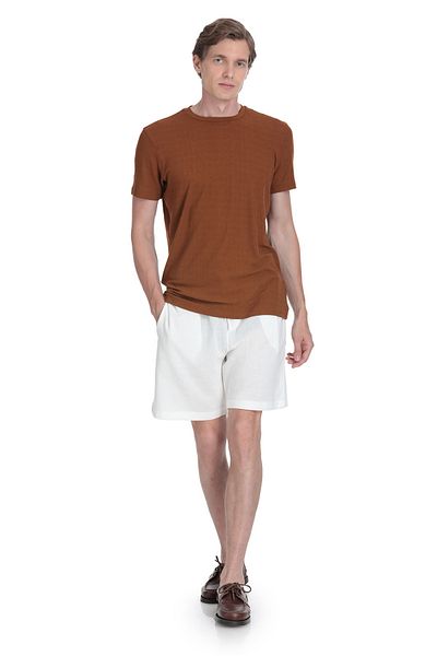 Hatemoğlu Brown Regular Fit Crew Neck T-Shirt