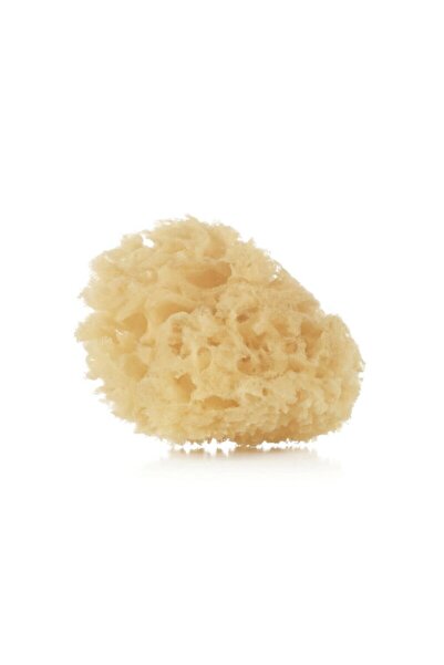 Jane Σφουγγάρι μπάνιου, Jane, 2 τεμάχια, 0+ μηνών