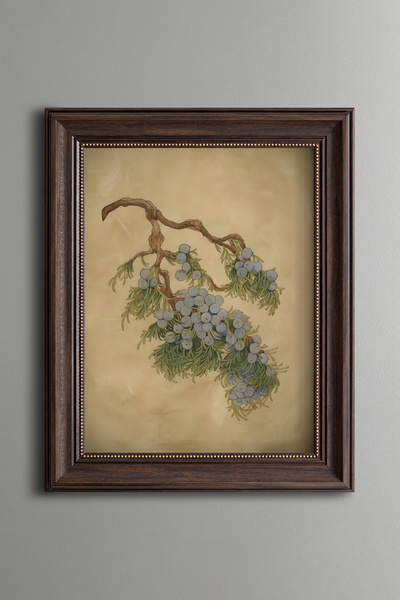 epiqart Arborele de ienupăr - Cadru cu model vintage