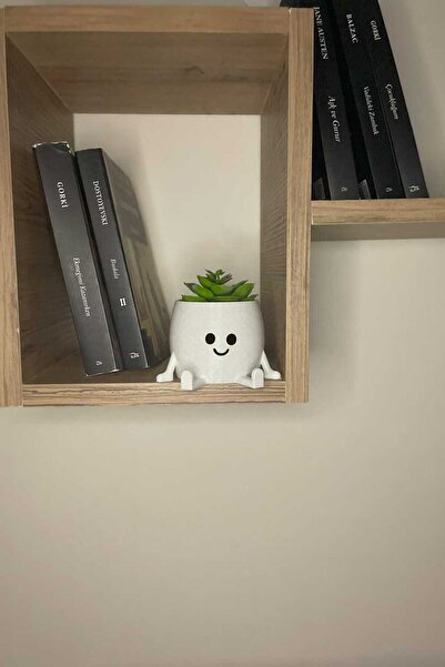 Lara Desing House Masa Üstü Saksı / Sevimli Dekoratif Obje / Neşeli Yüzlü Min...