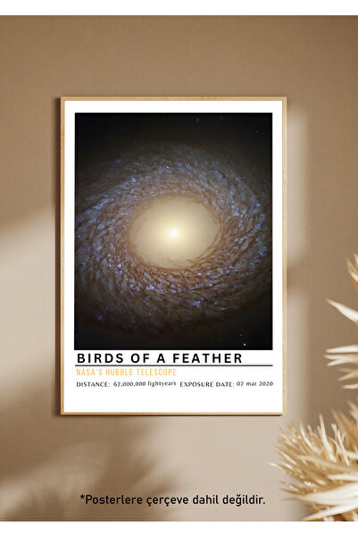 One Little Happiness Αφίσα Αφίσα Αισθητική Αφίσα Τοίχου, Αφίσα χωρίς πλαίσιο