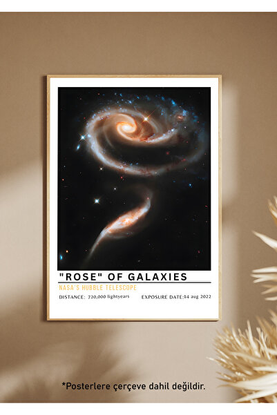 One Little Happiness Αφίσα Αφίσα Αισθητική Αφίσα Τοίχου, Αφίσα χωρίς πλαίσιο