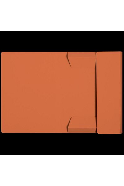 ELBA Dosar inteligent pentru plicuri A4, carton Manila 250 g/mf, capacitate 150 coli, culoare portocalie