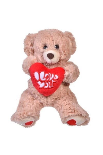 OEM Teddy Bear with Message for Valentine's Day, ATS, 18 cm