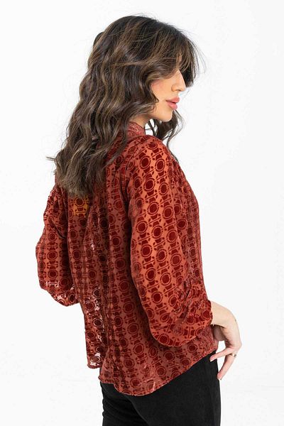 mica Women's Long Sleeve Sheer Blouse