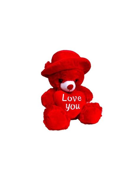 E EFRALL Red Teddy Bear with Heart and Hat, 25 cm