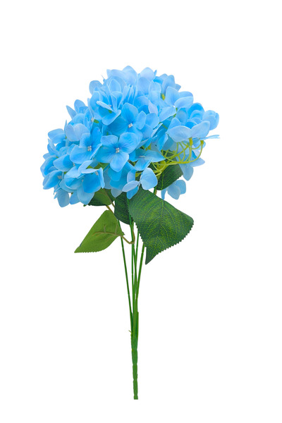 Çınar çiçekçilik باقة زهور الهورنتيس الاصطناعية المبللة 5 فروع بطول 45 سم