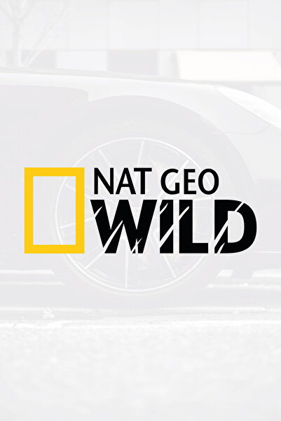 HediyeHanesi ملصق نات جيو وايلد مقاس كبير 1 قطعة 35x13 سم