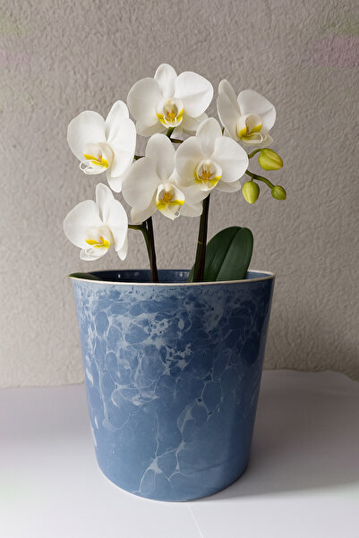 ESENOĞLU TİCARET SERAMİK SAKSI - orkide çiçeği için saksı