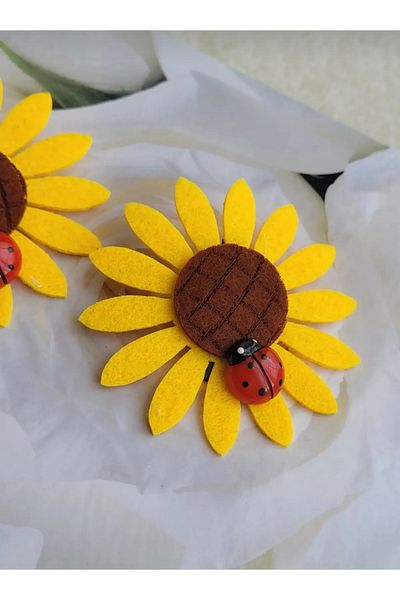 LO ADORO 2-Pack Ladybug Hairless Baby Clip Newborn Baby Clip for Babies with Less Hair
