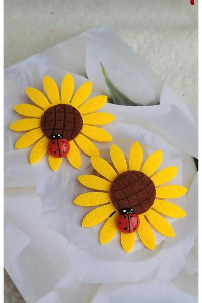 LO ADORO 2-Pack Ladybug Hairless Baby Clip Newborn Baby Clip for Babies with Less Hair