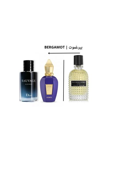 bergamot Accento Uomo Perfume by for Men Eau de Parfum 75ml