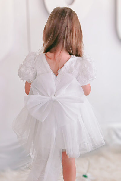 Baby Animals Bebeluş Fetiţă Copil Fetiţă Petrecere Zi de Naştere Rochie de nu...