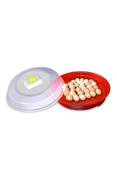 Zilan Incubator electric Admon, afișaj digital, 100 W, capacitate 70 ouă