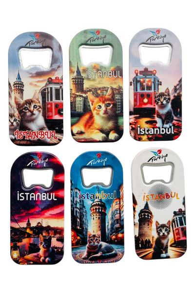GALATA GIFT Bottle Opener, Opener Magnet (6) Pieces Istanbul Themed Refrigerator Magnet, Soda Soda Pop Opener 9cm