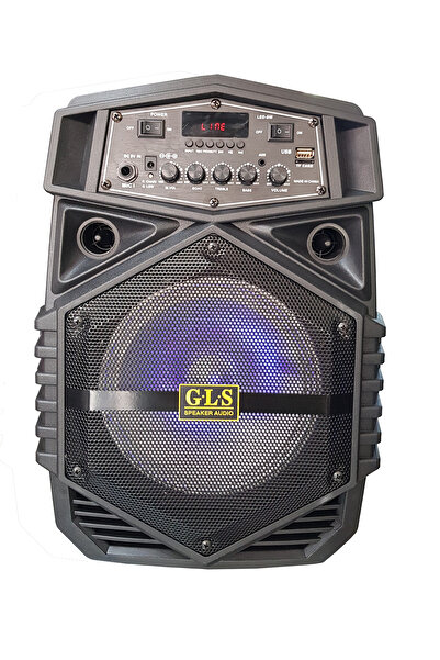 GLS Boxă profesională cu conectivitate Bluetooth,