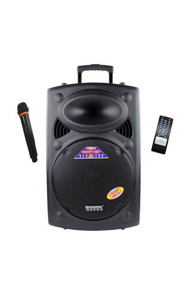 Temeisheng Boxă portabilă profesională tip troleibuz, putere 1600 W
