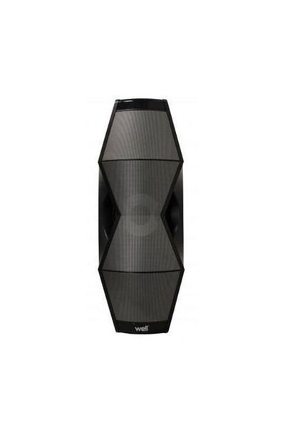 Well Bluetooth Speaker, 300w Power, Built-in Disco Lights, Remote Control, FM Radio