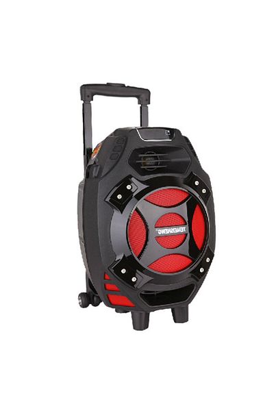 Temeisheng Boxă Bluetooth activă, portabilă, tip troler,