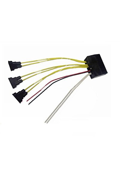 Seger Saydırmalı Arap Korna Beyni