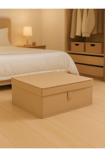 Venita Home Multi-Purpose Box in 1 Box Form with Lid (Laundry-Storage-Organization, Etc.) Organizer, 50X40X19