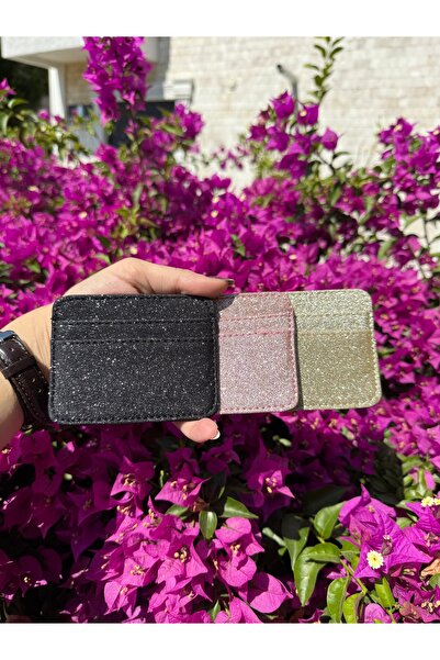 SİNİSA BAG Kadın Pembe Simli Şık Kartlık -5 Bölmeli Minimal Tasarım