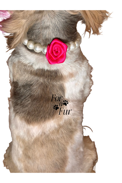 For a Fur Cat Dog Necklace Pearl Necklace with Rose Detail