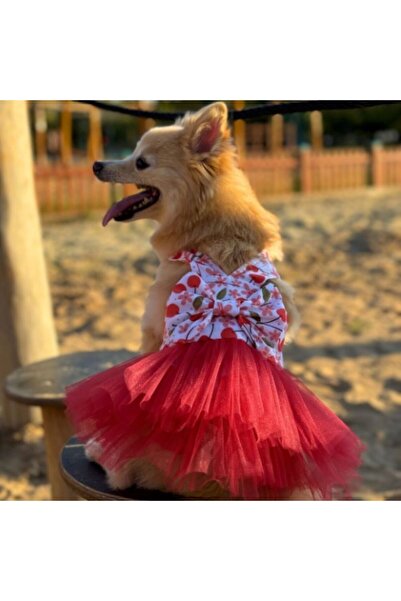 GedyCo Cherry Slopette Tutual Dress Small Breed Dog-Cat