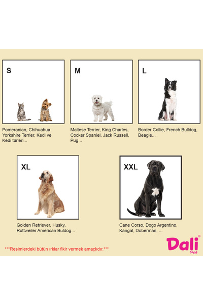 Dalipet Yaz Ayları İçin Köpek Ayakkabısı Yumuşak Kaydırmaz, Aır Mesh Kumaş, Koşu Ayakkabısı
