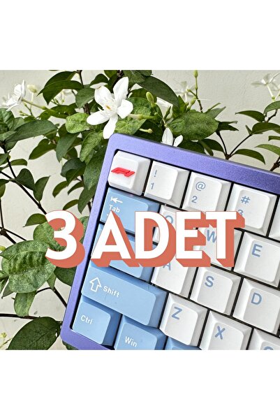 PUREYSMA Formula 1 F1 Logolu 3’lü Mekanik Klavye Keycap Seti Gamer & RGB Klav...