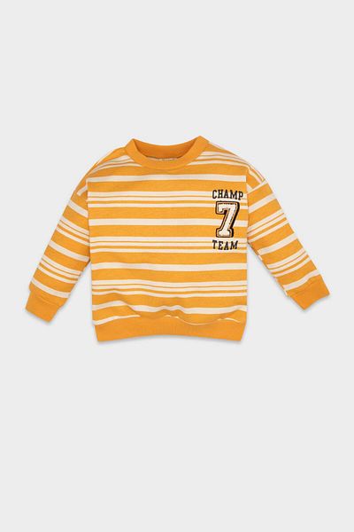 DeFacto Baby Boy Crew Neck ριγέ μαλακό φούτερ με γούνα εσωτερικά D4475A524AU