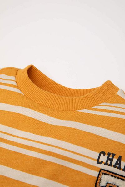 DeFacto Baby Boy Crew Neck ριγέ μαλακό φούτερ με γούνα εσωτερικά D4475A524AU