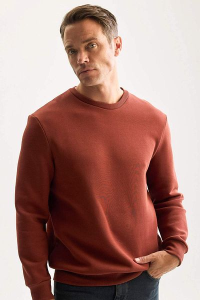 DeFacto Hanorac gros din bumbac cu 3 fire, cu fleece în interior, cu decolteu rotund, D7876AXNS