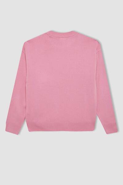 DeFacto Kız Çocuk Açık Pembe Standart Fit Bisiklet Yaka Basic Düz Triko Kazak C6902A824AU