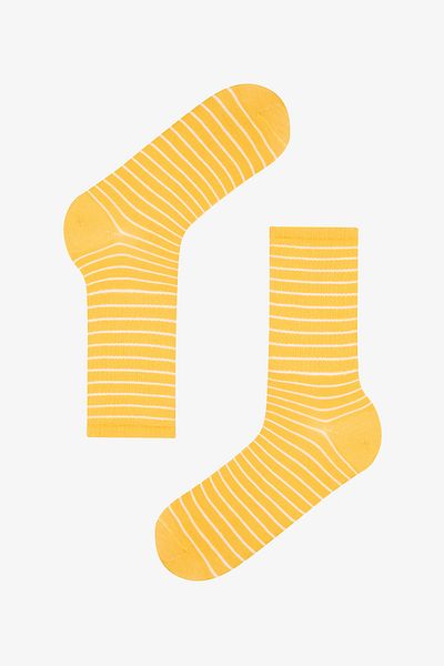 Penti Men's White Safari 2-Piece Multicolored Socks