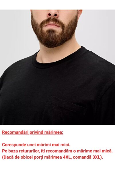 s.Oliver Men's big size long sleeve t-shirt, crew neck and chest pocket, Big Sizes