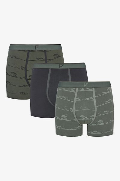 Penti Shadow Safari 3-Piece Multicolored Boxer Briefs