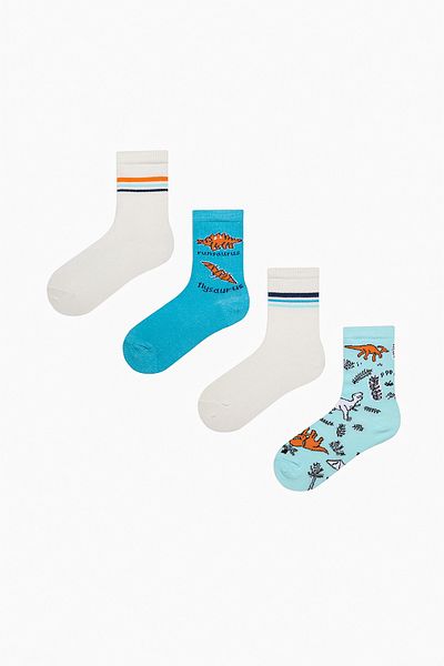 Penti Boy's Mesozoic Era Multicolored 4-Piece Socks