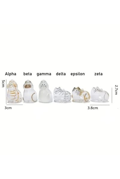 Yaratıcı sanatlar atölyesi Transparent Cat Feather Storage Capsule Gashapon Cat Feather Memory Gift Catlover Keychain Accessory