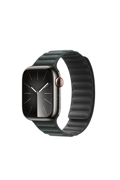 Apple وصلة مغناطيسية دائمة الخضرة مقاس 41 مم - صغير/متوسط