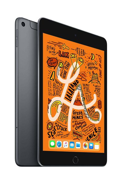 Apple iPad mini (5th Gen) Wi-Fi + Cellular 256GB Space Grey