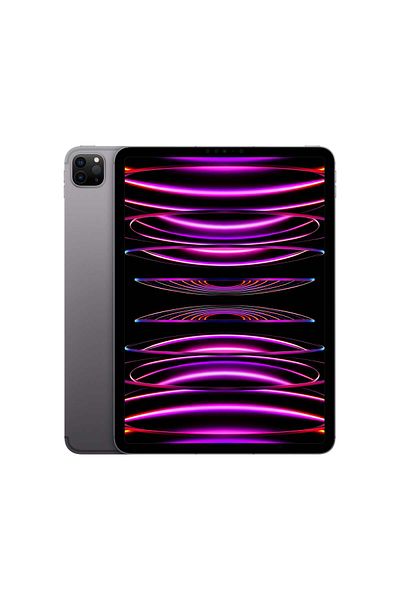 Apple 2022 11-inch iPad Pro Wi-Fi + Cellular 2TB - Space Grey (4th generation)