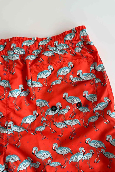 AYYILDIZ 845 Чоловічі морські шорти з помаранчевим фламінго