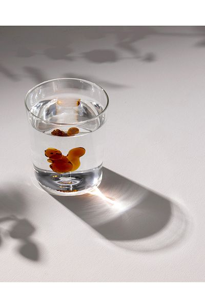 Madame Coco Pahar din Sticlă Borosilicată Violet - Maro - 350 ml