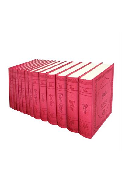 Yeni Asya Neşriyat Risale-i Nur Külliyatı (14 Cilt ) Orta Boy, Termo Deri Esnek Cilt, Yeni Tanzim, Lügatçeli, İndexl...