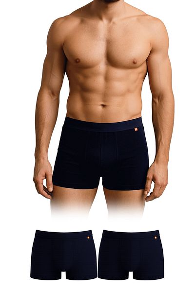 DAYCO Boxeri pentru bărbați Premium Bamboo Pachet dublu Culoare bleumarin